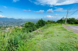 Residential Lot for Sale in Kingston 19