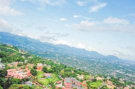 Residential Lot for Sale in Kingston 19