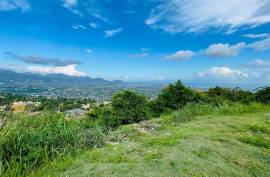 Residential Lot for Sale in Kingston 19