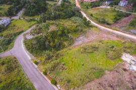 Residential Lot for Sale in Mandeville