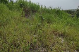 Residential Lot for Sale in Mandeville