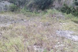 Residential Lot for Sale in Mandeville