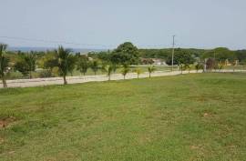 Residential Lot for Sale in White House WD