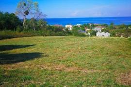 Residential Lot for Sale in White House WD