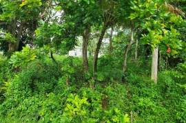 Residential Lot for Sale in Runaway Bay