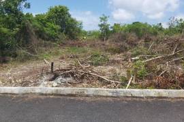 Residential Lot for Sale in Tower Isle