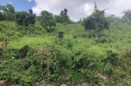 Residential Lot for Sale in Anchovy