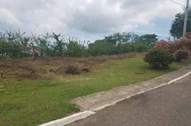 Residential Lot for Sale in Negril