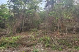 Residential Lot for Sale in Montego Bay