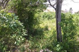 Residential Lot for Sale in Montego Bay