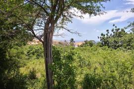 Residential Lot for Sale in Montego Bay