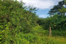 Residential Lot for Sale in Hope Bay