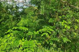 Residential Lot for Sale in Hope Bay