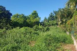 Residential Lot for Sale in Montego Bay