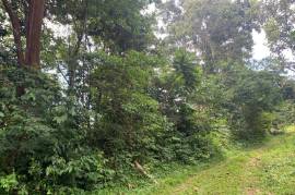 Residential Lot for Sale in St. Ann's Bay