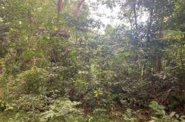 Residential Lot for Sale in St. Ann's Bay