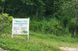 Residential Lot for Sale in Kingston 19