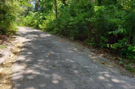 Residential Lot for Sale in Runaway Bay