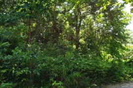 Residential Lot for Sale in Runaway Bay