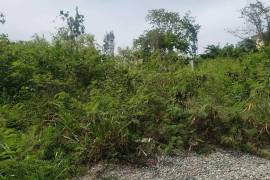 Residential Lot for Sale in Spanish Town