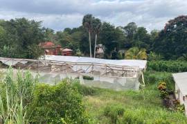 Residential Lot for Sale in Mandeville