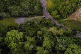 Residential Lot for Sale in Mandeville