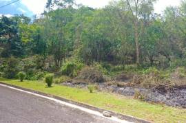 Residential Lot for Sale in Mandeville