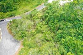 Residential Lot for Sale in Mandeville