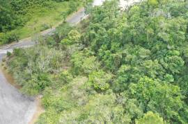 Residential Lot for Sale in Mandeville