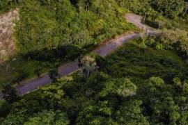 Residential Lot for Sale in Mandeville