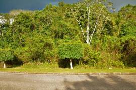 Residential Lot for Sale in Mandeville