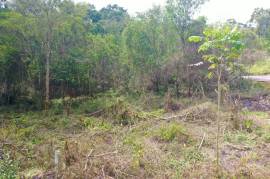 Residential Lot for Sale in Mandeville