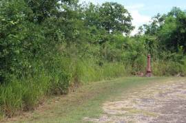 Residential Lot for Sale in Discovery Bay