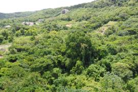 Residential Lot for Sale in Runaway Bay