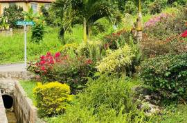 Residential Lot for Sale in Ocho Rios