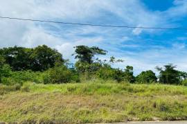 Residential Lot for Sale in Ocho Rios