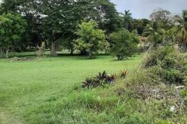 Residential Lot for Sale in Ocho Rios