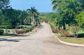 Residential Lot for Sale in Negril