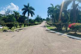 Residential Lot for Sale in Negril