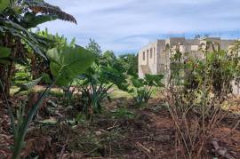 Residential Lot for Sale in Negril