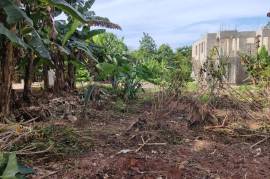 Residential Lot for Sale in Negril