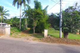 Residential Lot for Sale in Mandeville