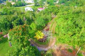 Residential Lot for Sale in Mandeville