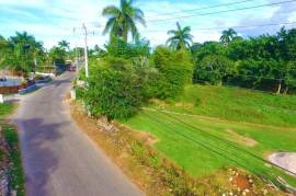 Residential Lot for Sale in Mandeville