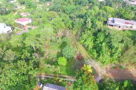 Residential Lot for Sale in Mandeville