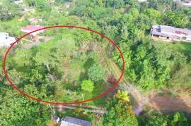 Residential Lot for Sale in Mandeville