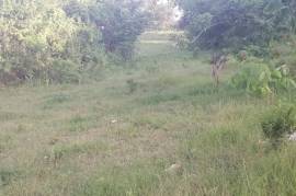 Residential Lot for Sale in Mandeville