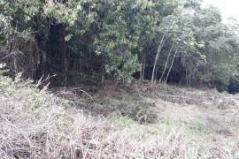 Residential Lot for Sale in Mandeville