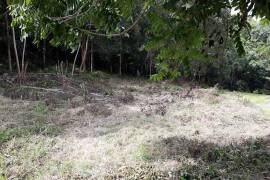 Residential Lot for Sale in Mandeville