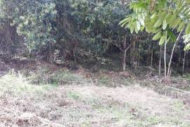 Residential Lot for Sale in Mandeville